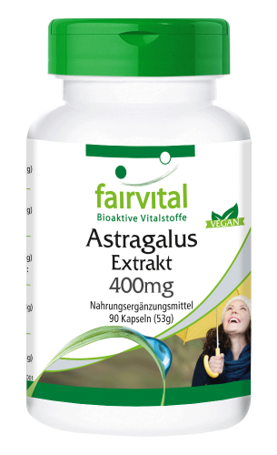 Astragalus Extrakt (90 Kapseln)