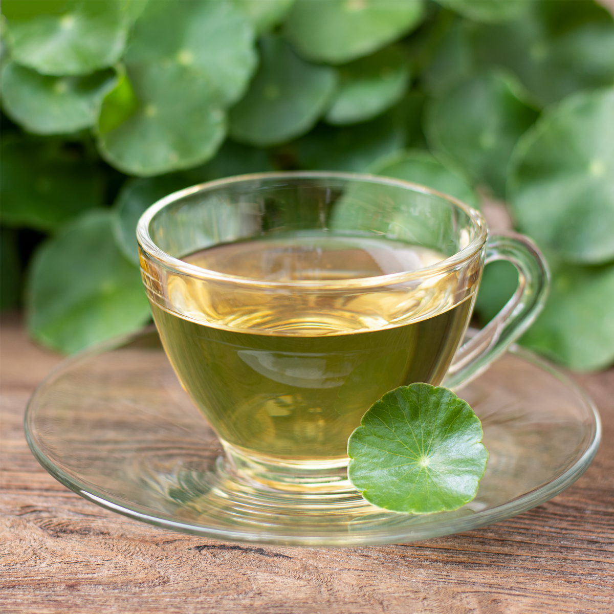 Gotu Kola Wassernabelkraut geschnitten (500g)