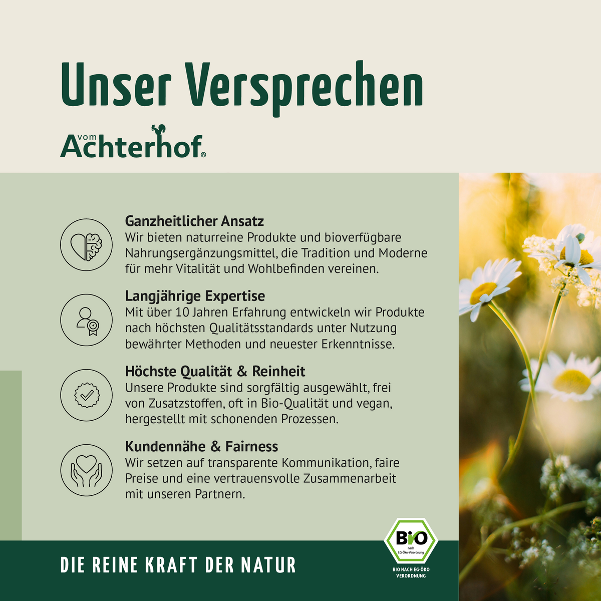 Hagebuttenpulver Bio (500g)