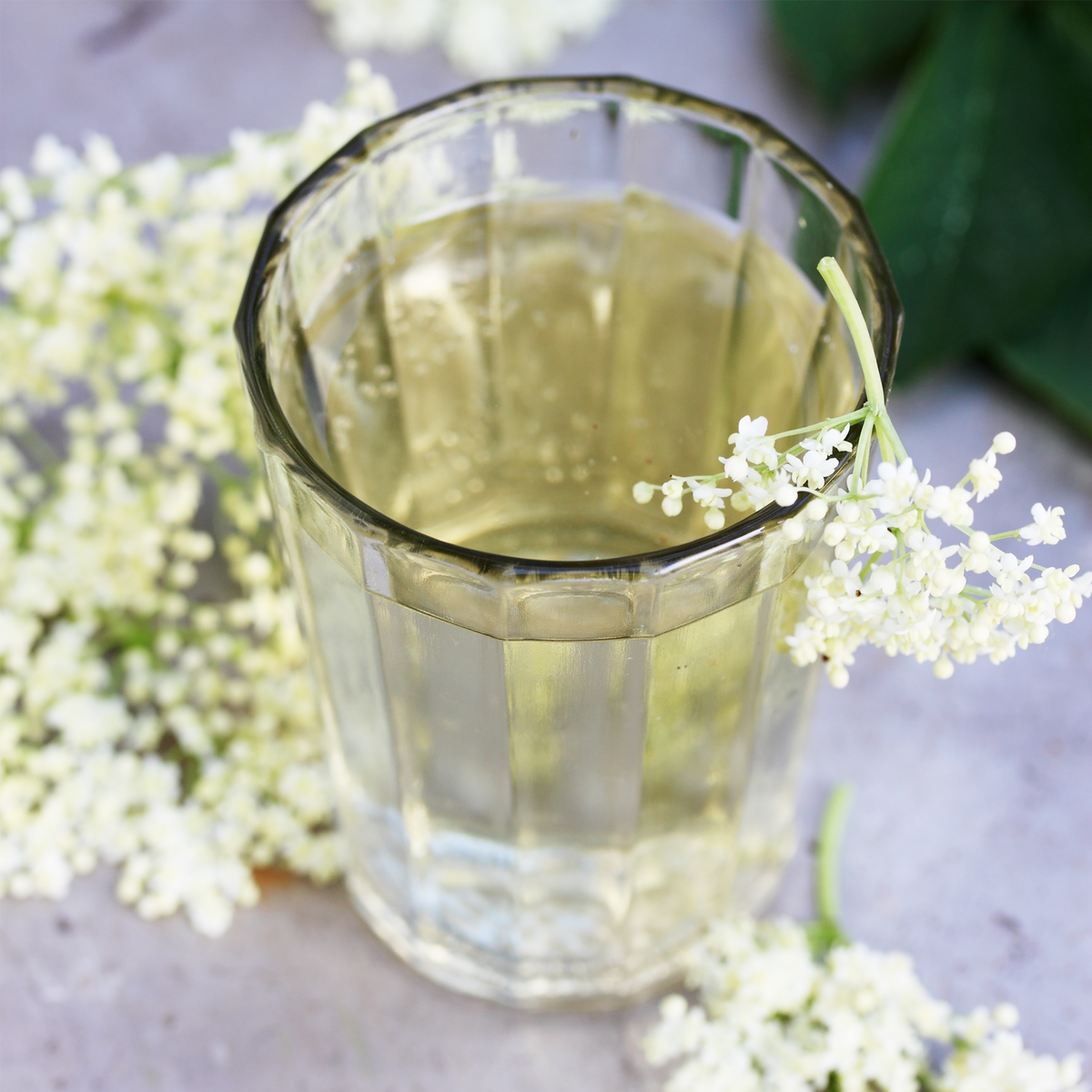 Holunderblüten geschnitten Bio (100g)