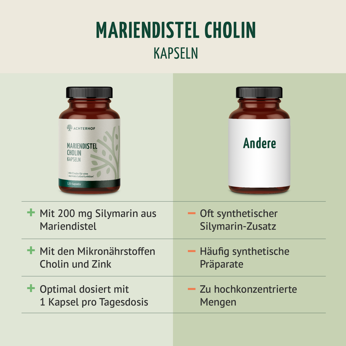 Mariendistel Cholin Kapseln (120 Kapseln)