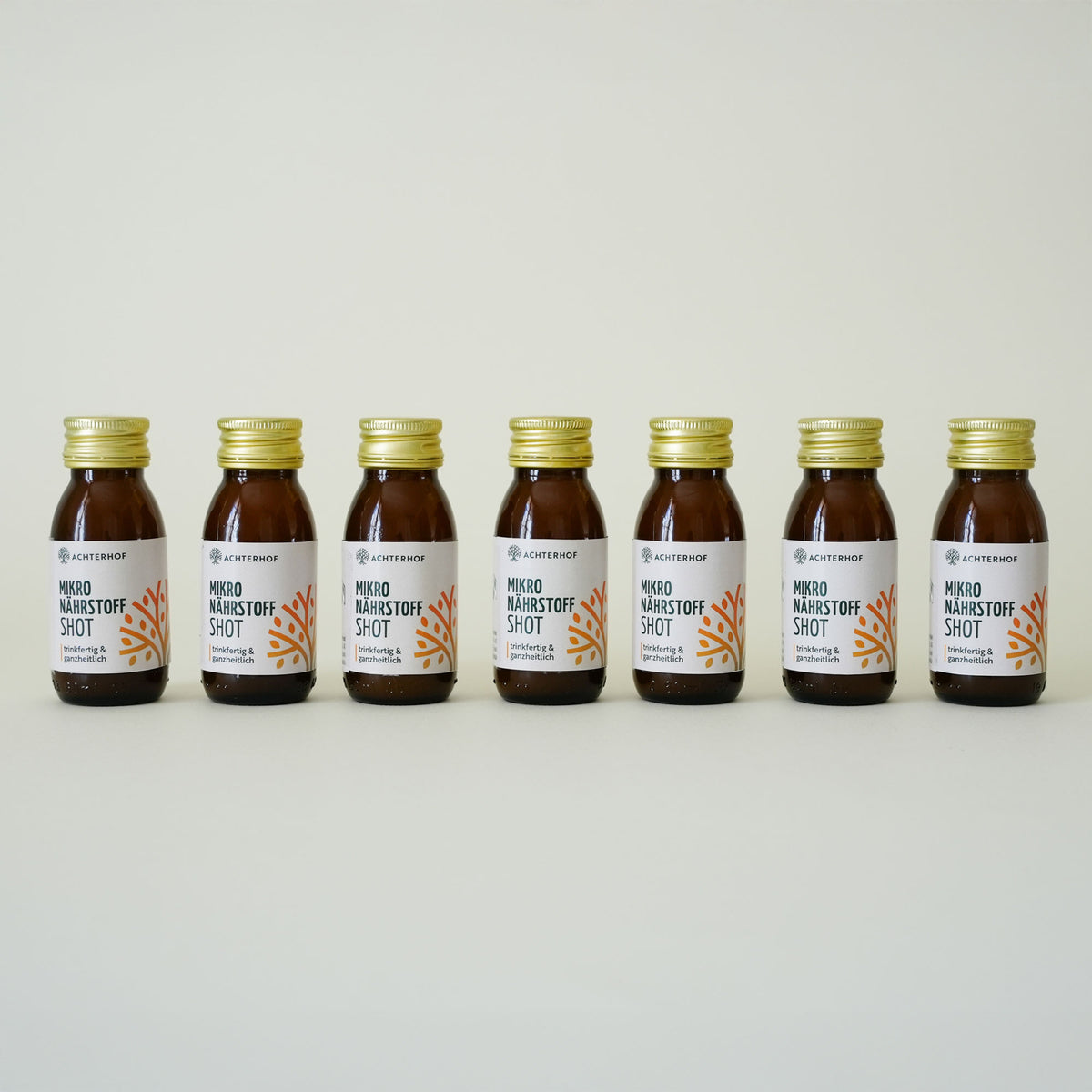 Fastendrinks 6 Flaschen Kräuterwunder Bio