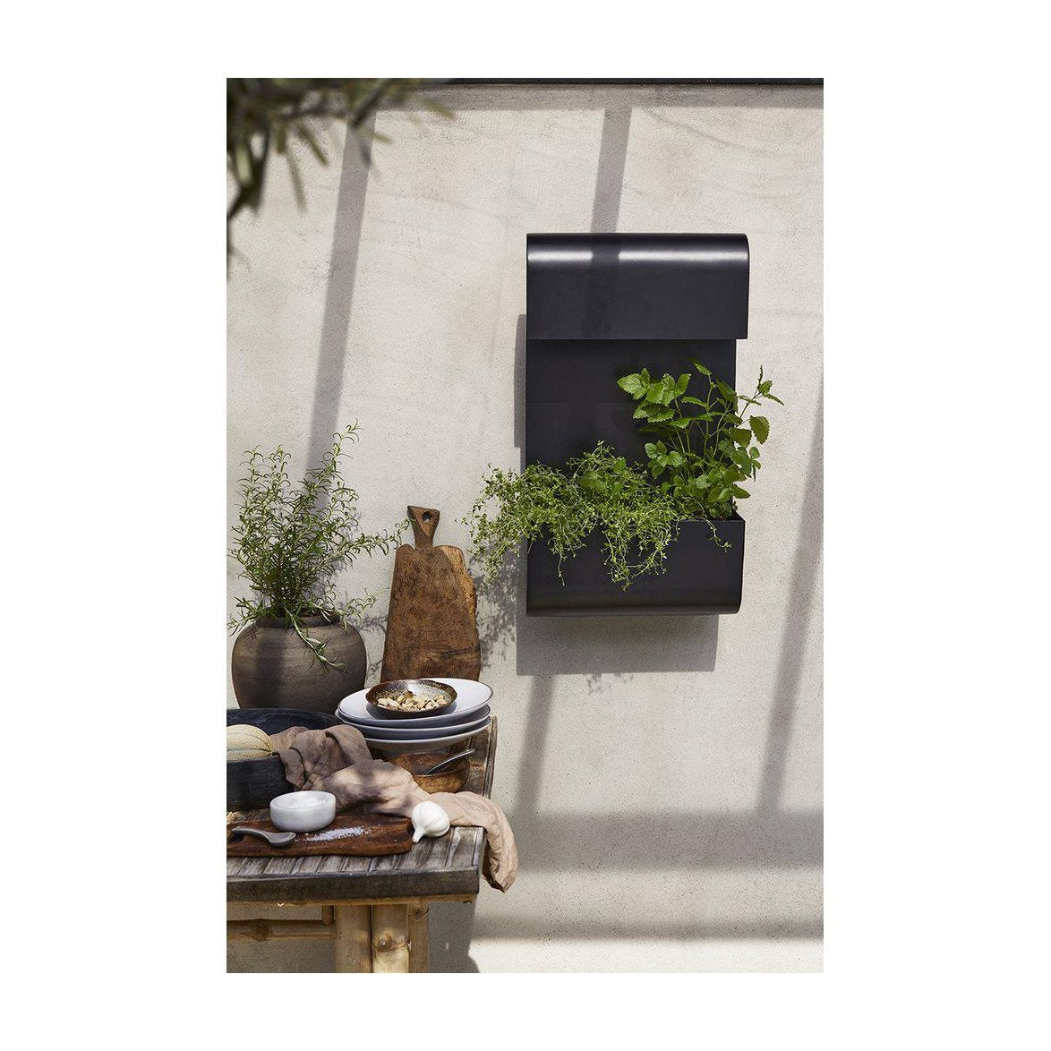 Planta vägglampa svart