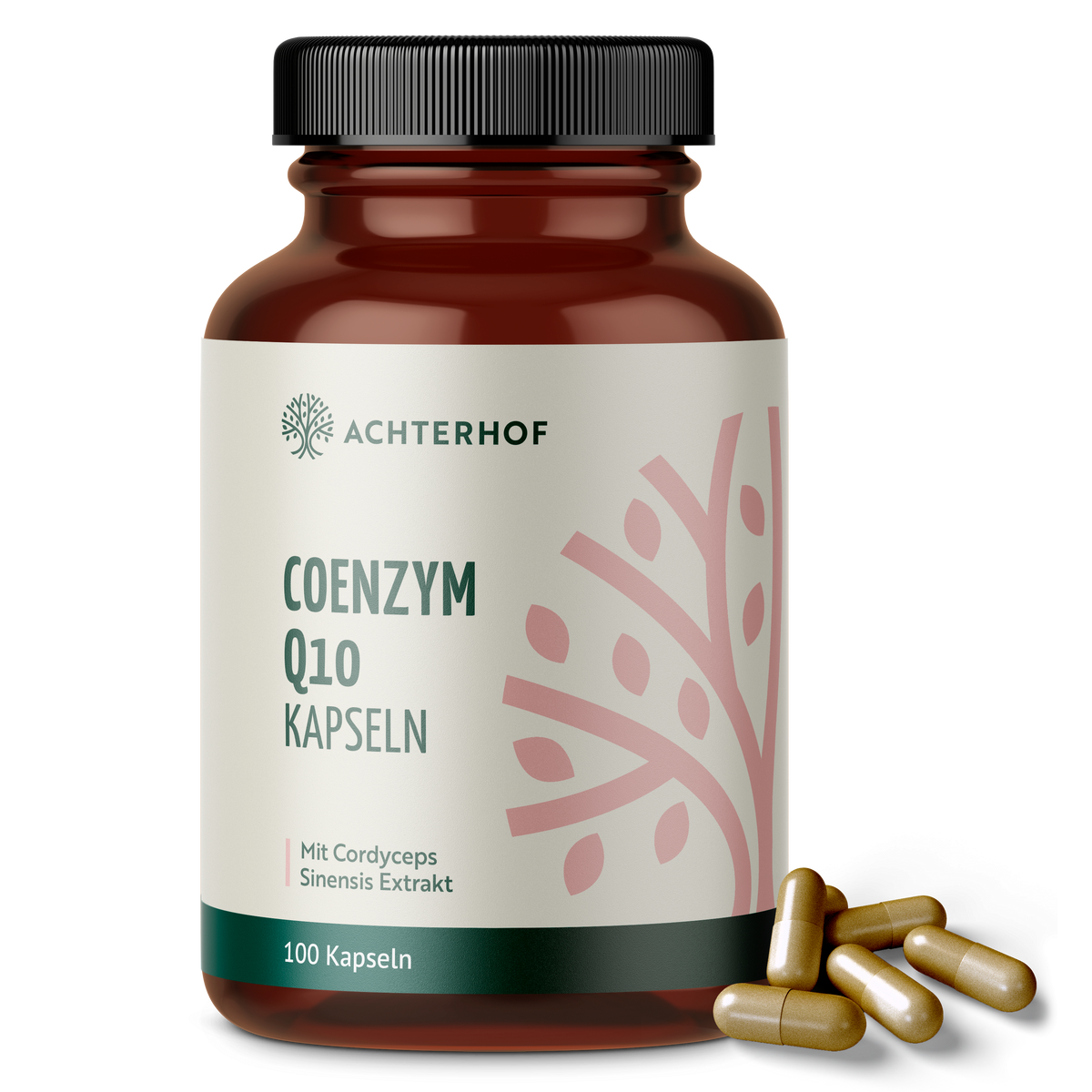 Coenzym Q10 Cordyceps (100 Kapseln)