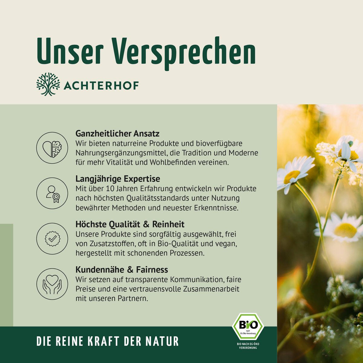 Bio Reisprotein Pulver (500g)