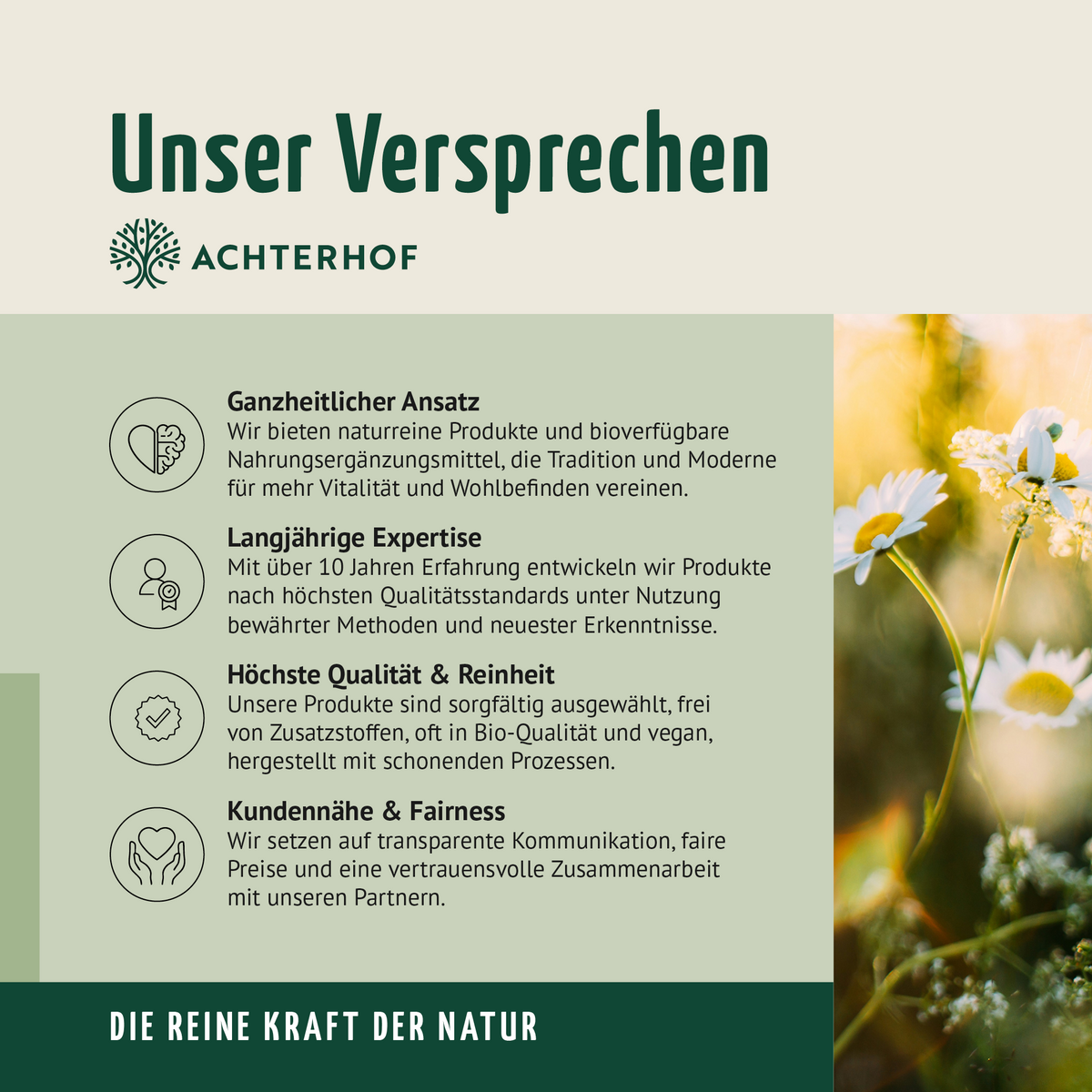 Vitamin B12 Tropfen (50ml)