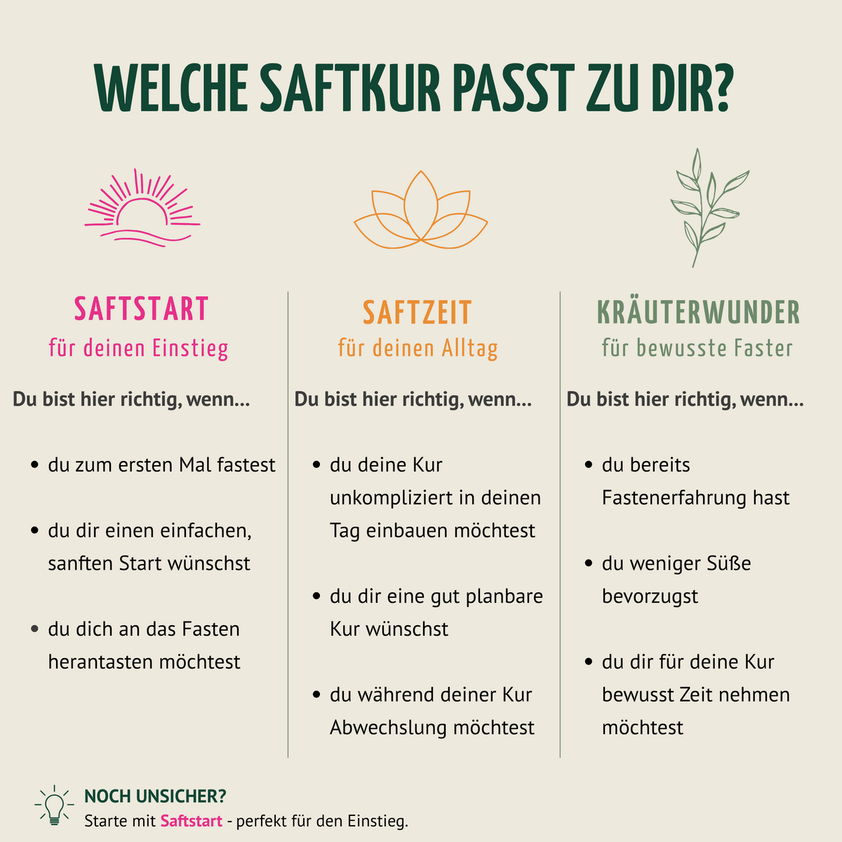 Kräuterwunder Bio Saftkur 1-7 Tage (6 Flaschen pro Tag)