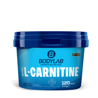 Acetyl L-Carnitine (120 Tabletten)
