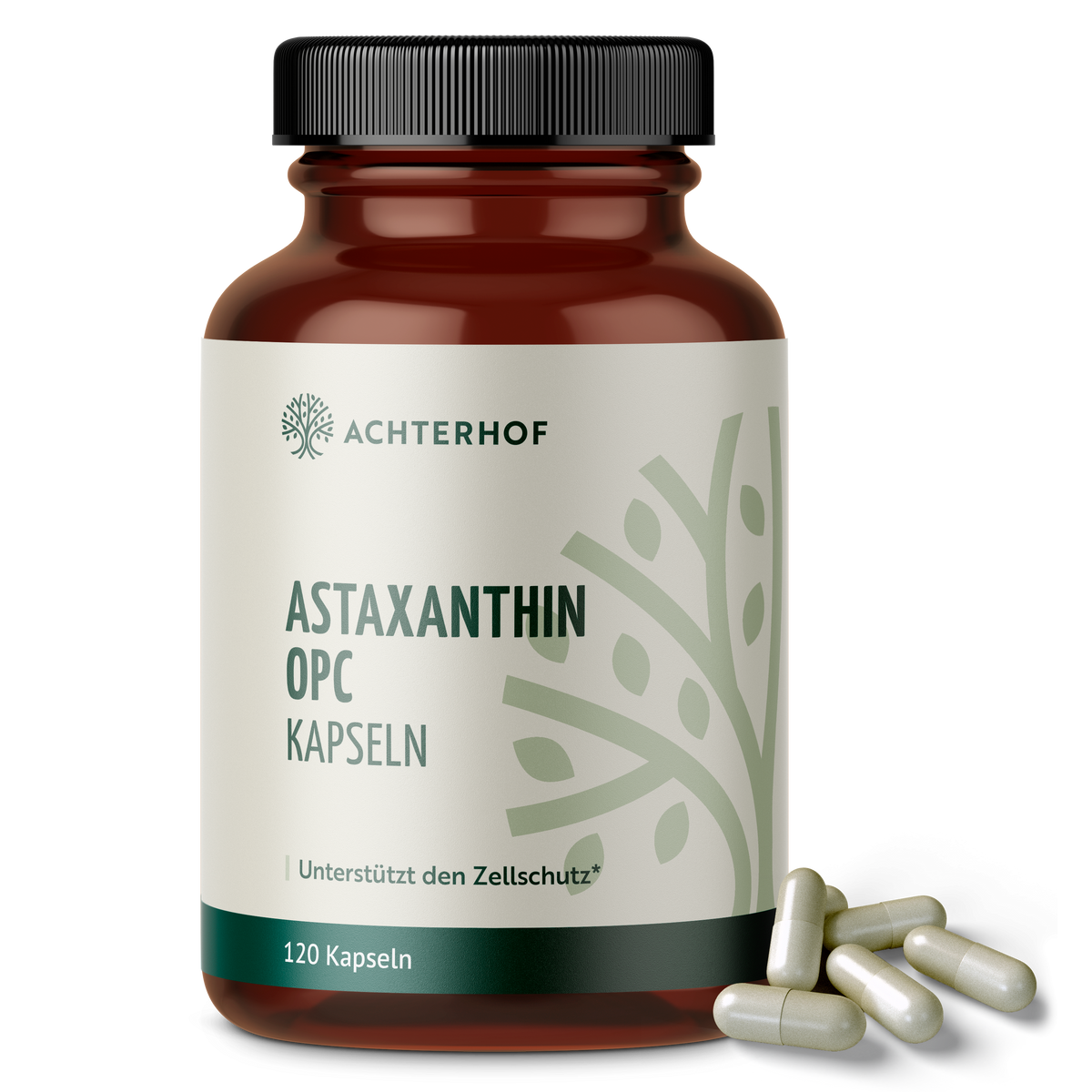 Astaxanthin OPC Zellschutz Kapseln (120 Kapseln)