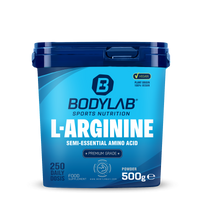 Arginine Powder (500g)