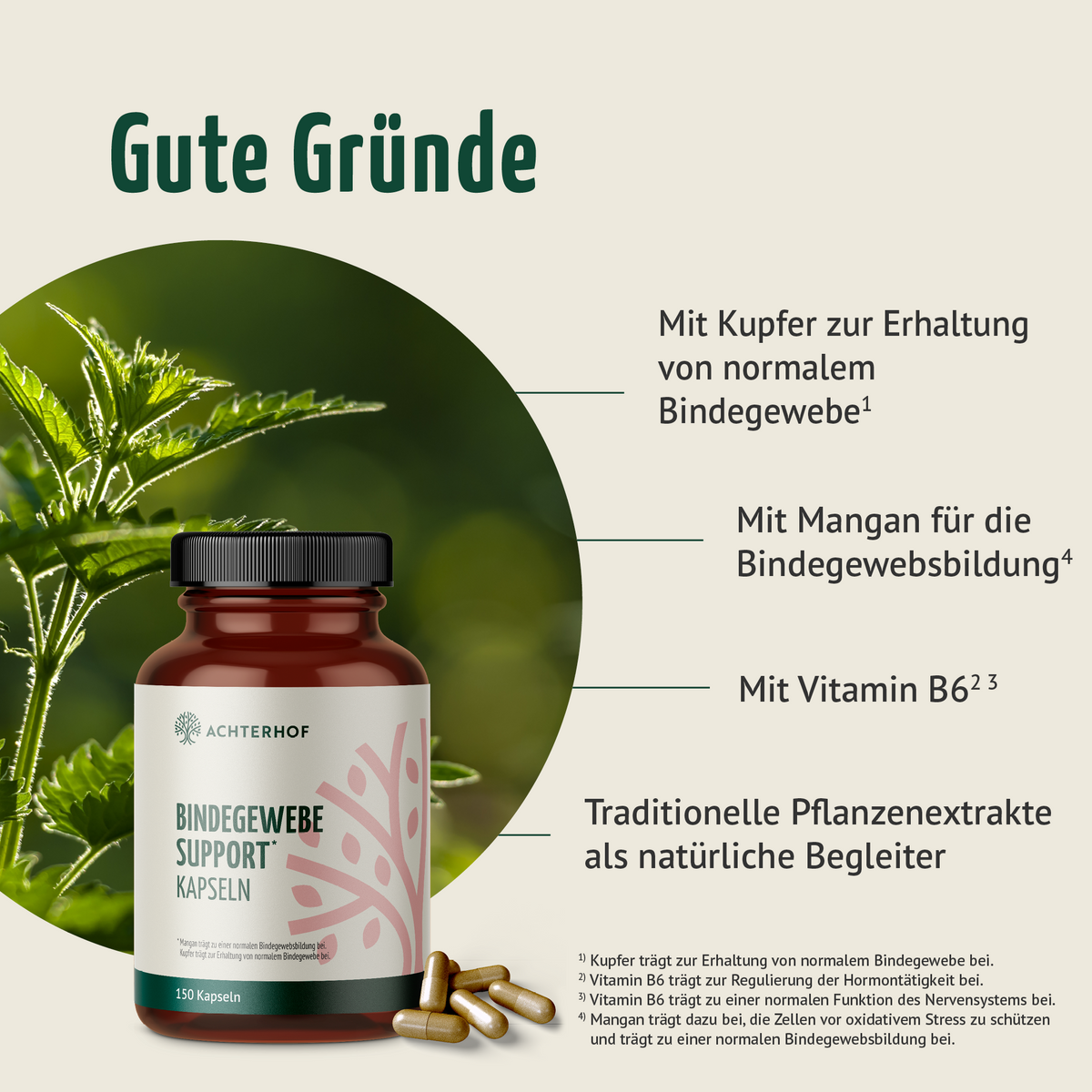 Bindegewebe Support Kapseln (150 Kapseln)
