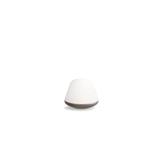 Bloom bordslampa Ø20 satin silver/opal glas