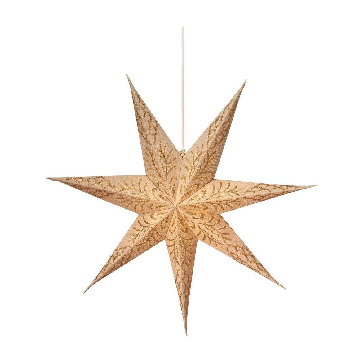 Celeste star golden sand 60cm