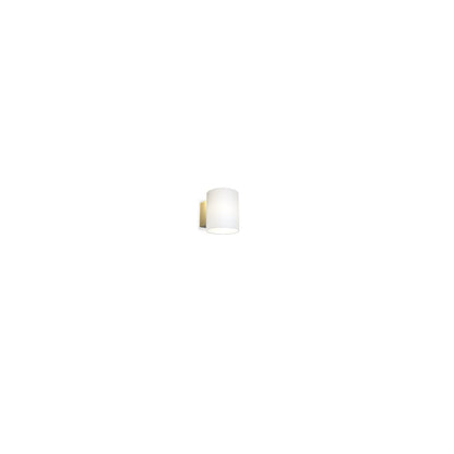 Evoke vägglampa S opal/mässing