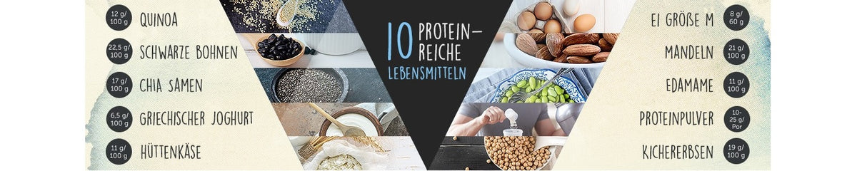 High Protein-Infografik-