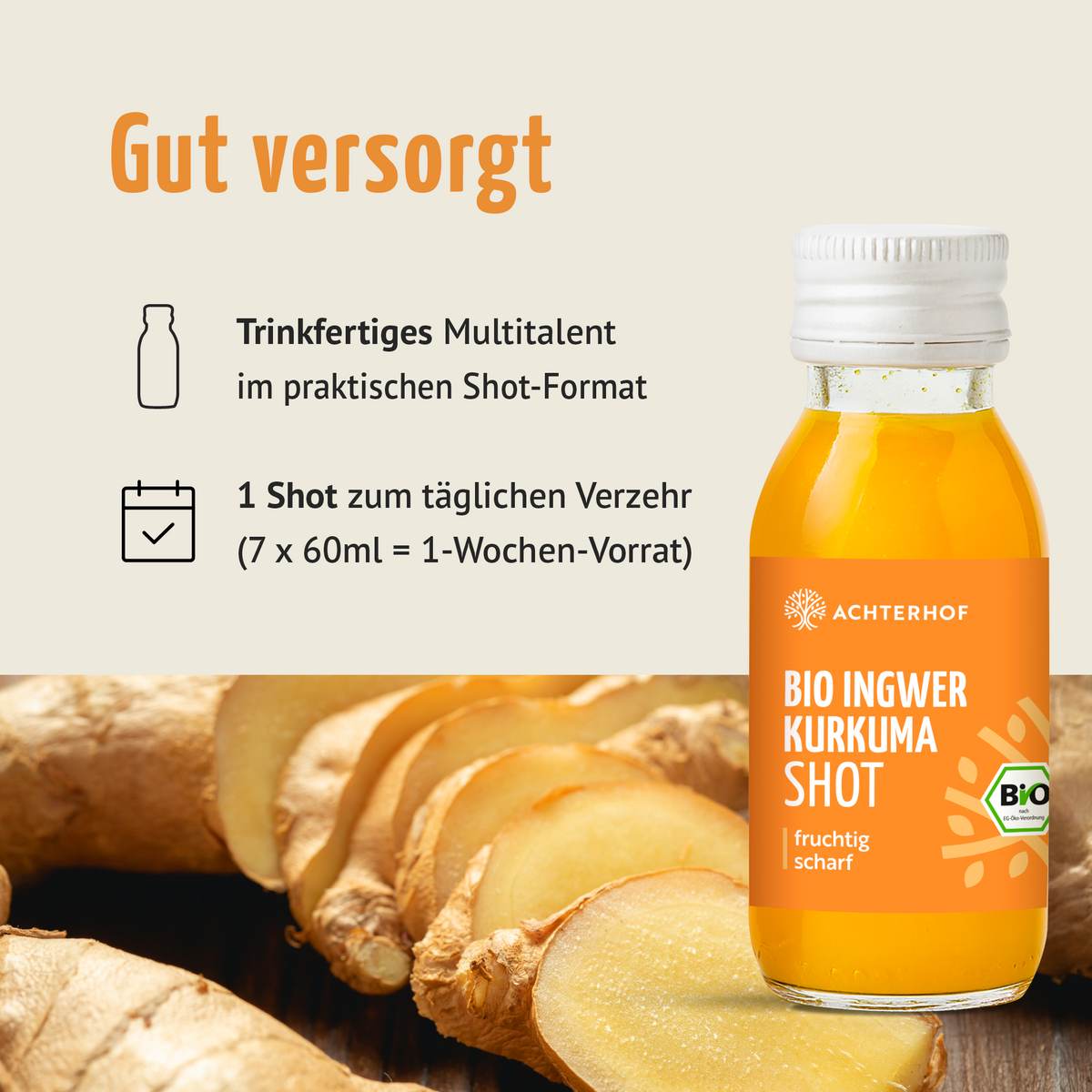 Fastendrinks 6 Flaschen Kräuterwunder Bio