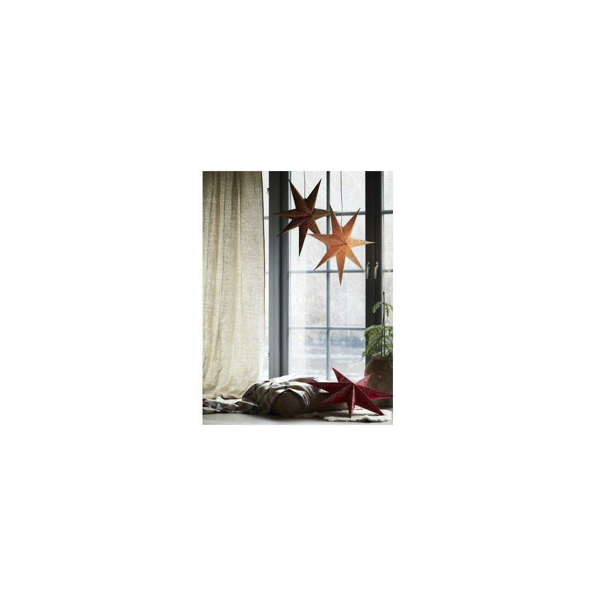 Julstjärna Celeste star Brun 60 cm