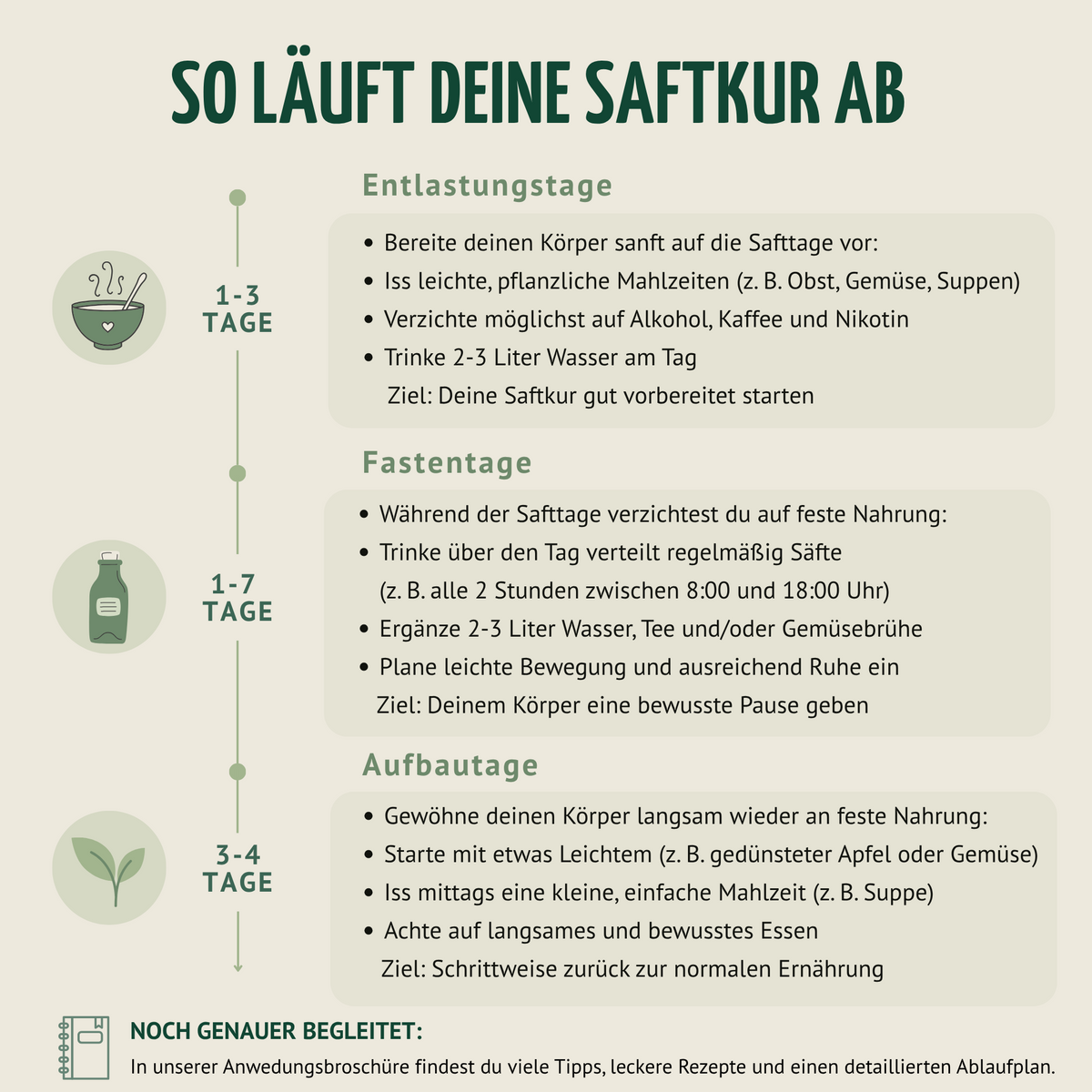 Kräuterwunder Bio Fastenkur 5 Tage (30 Flaschen)