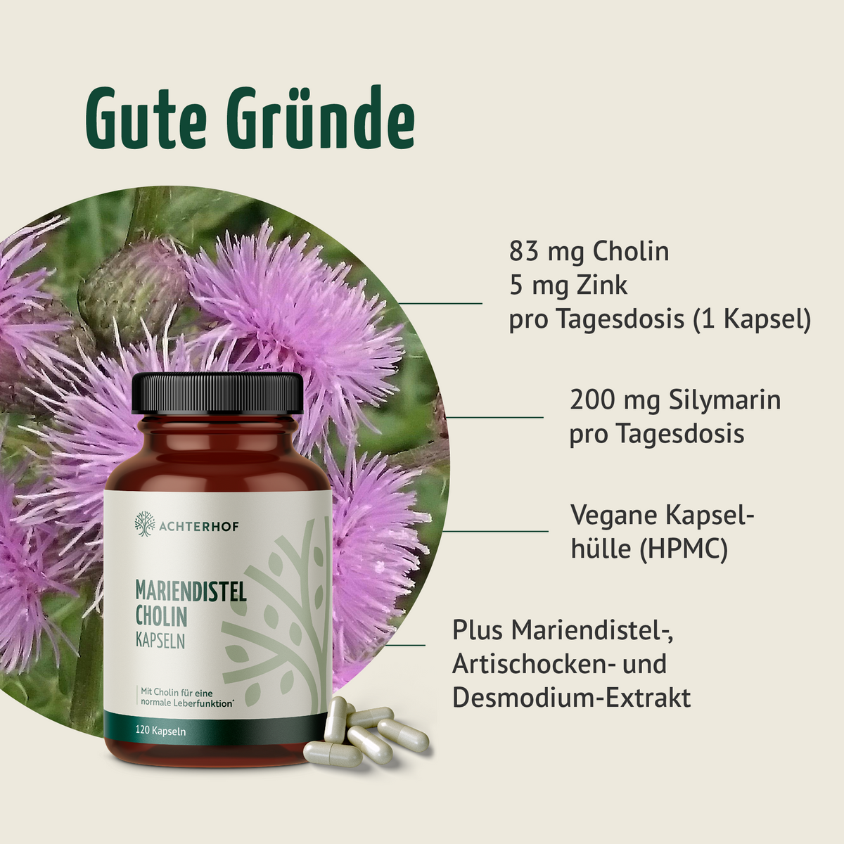 Mariendistel Cholin Kapseln (120 Kapseln)