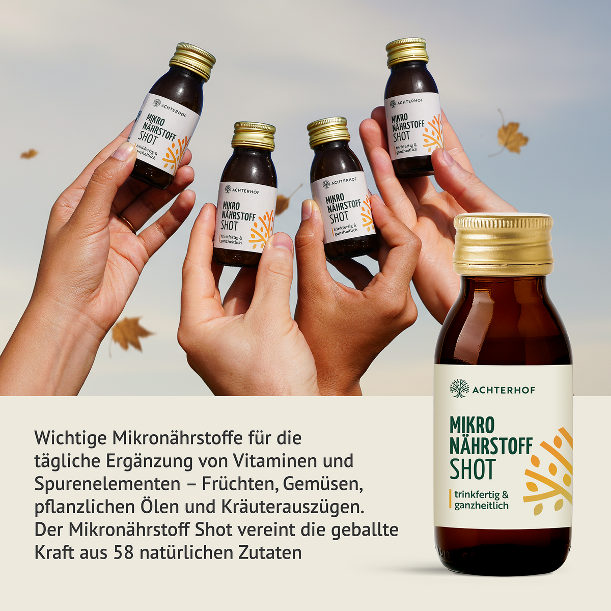 Fastendrinks 6 Flaschen Kräuterwunder Bio
