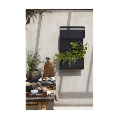 Planta vägglampa svart