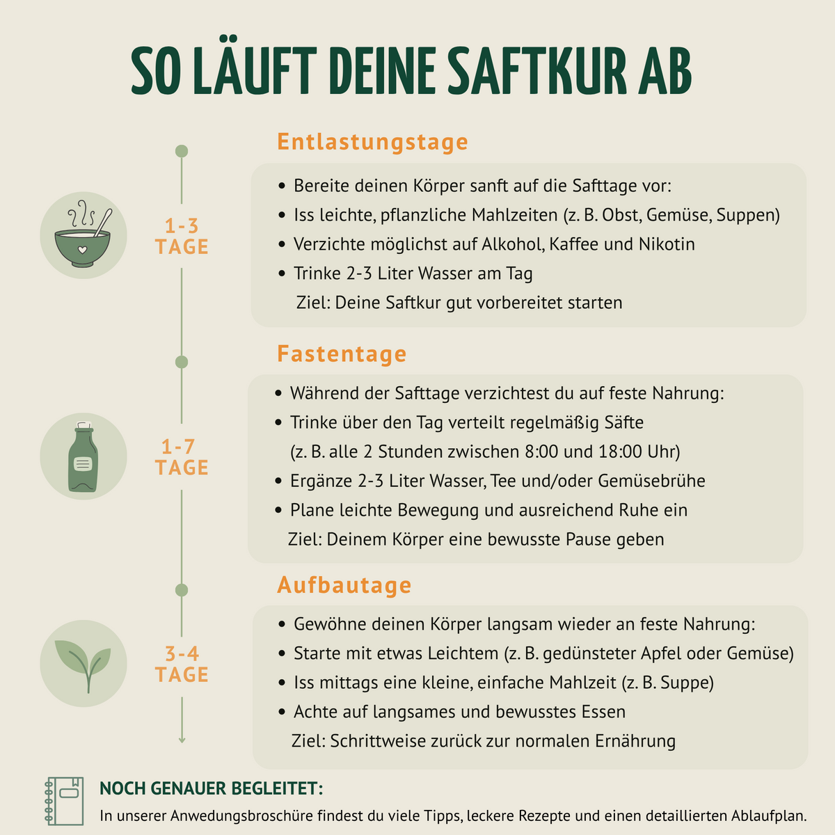 Saftzeit Bio Fastenkur 7 Tage (42 Flaschen)