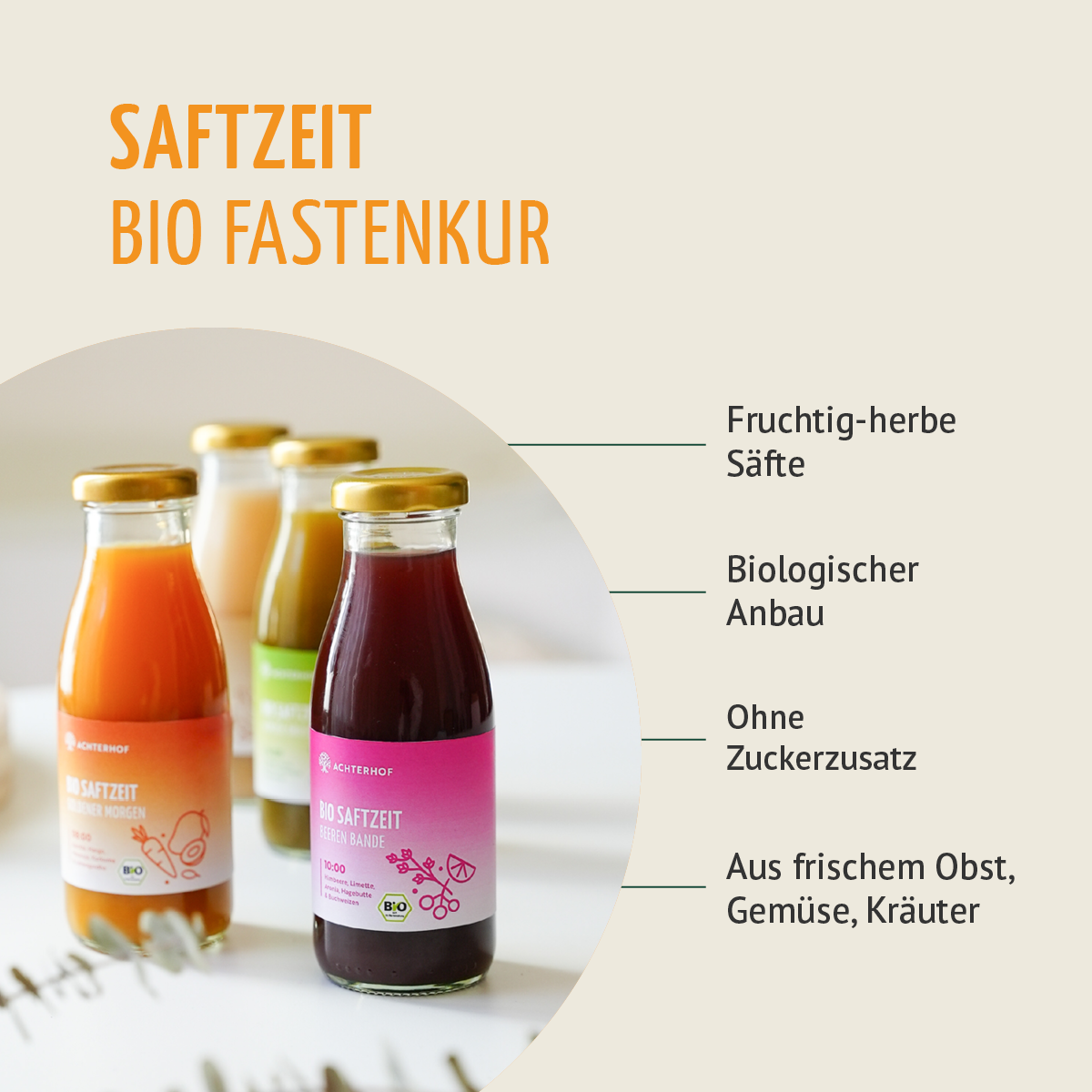 Saftzeit Bio Fastenkur 5 Tage (30 Flaschen)
