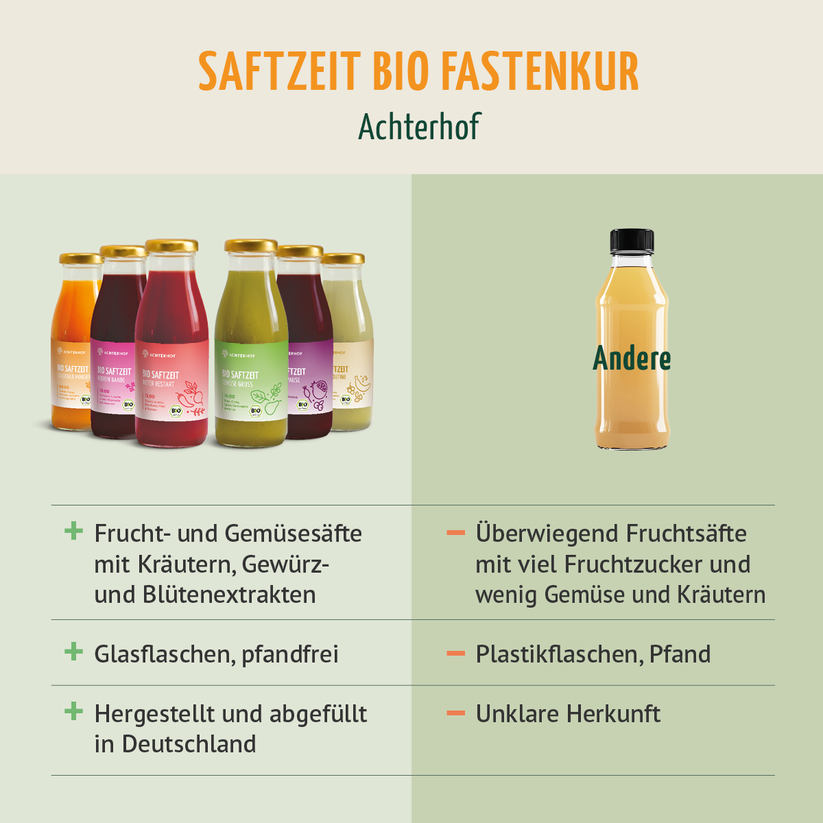 Saftzeit Bio Fastenkur 5 Tage (30 Flaschen)