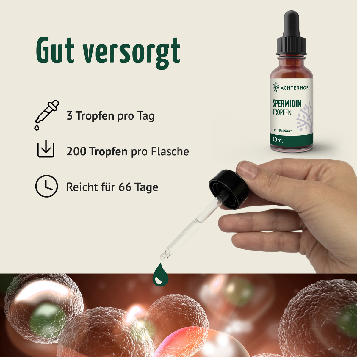 Spermidin B9 Tropfen (10ml)