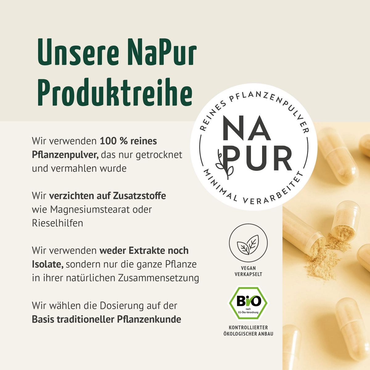 Bio Triphala Kapseln Nachfüllpack (400 Kapseln)